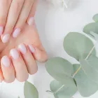 自爪風